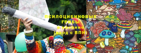 индика Аркадак