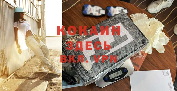 индика Аркадак