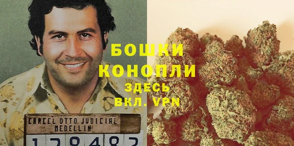 индика Аркадак