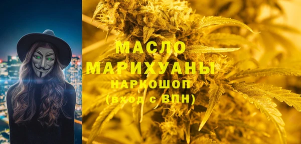индика Аркадак