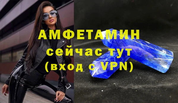 индика Аркадак