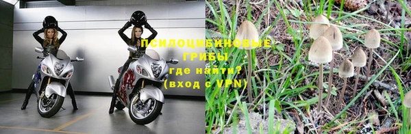 молекула духа Армянск