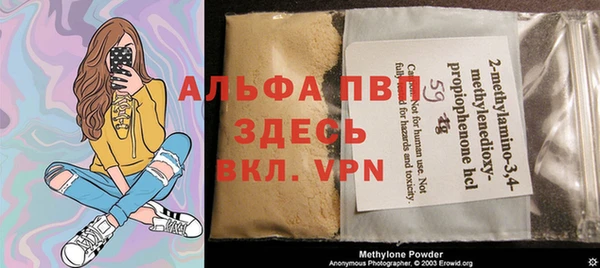 индика Аркадак