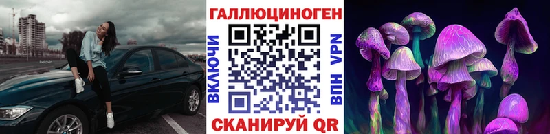 цены наркотик  Артёмовск  Галлюциногенные грибы Psilocybine cubensis 